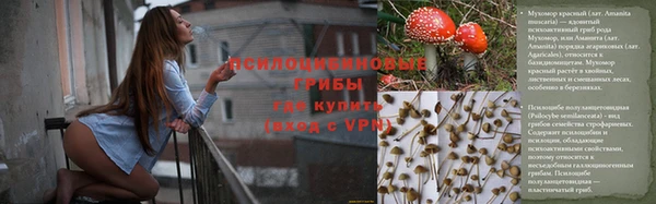 ECSTASY Дмитриев