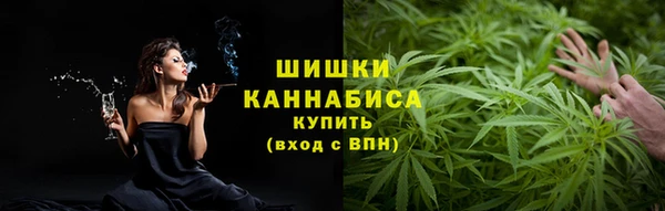 ECSTASY Дмитриев