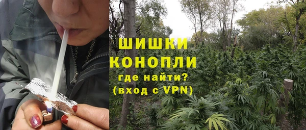 ECSTASY Дмитриев