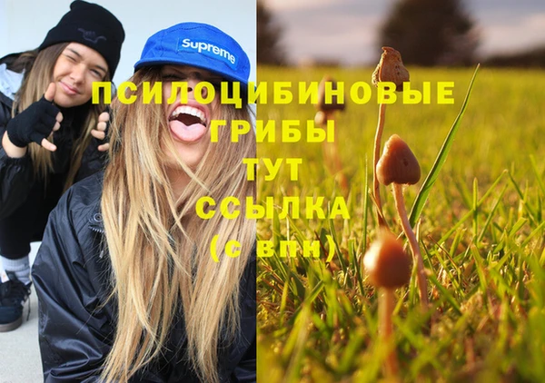 mix Дмитровск