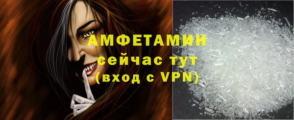 СК Дмитров