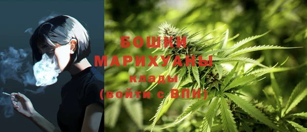 СК Дмитров
