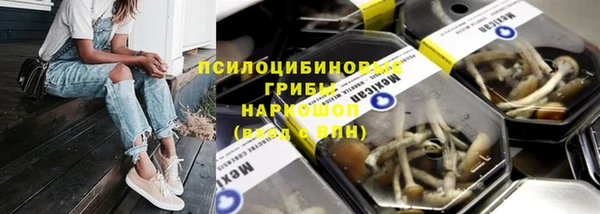 ECSTASY Дмитриев